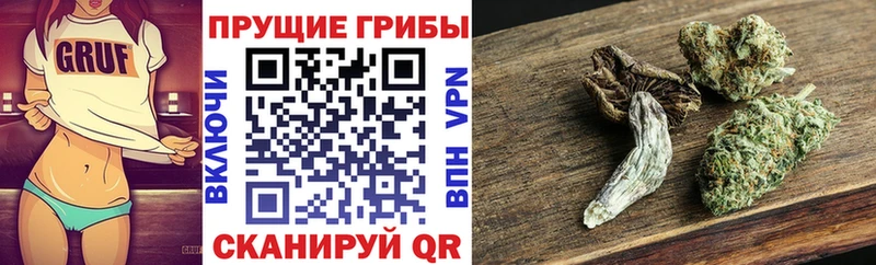 Галлюциногенные грибы Psilocybine cubensis  Бор 